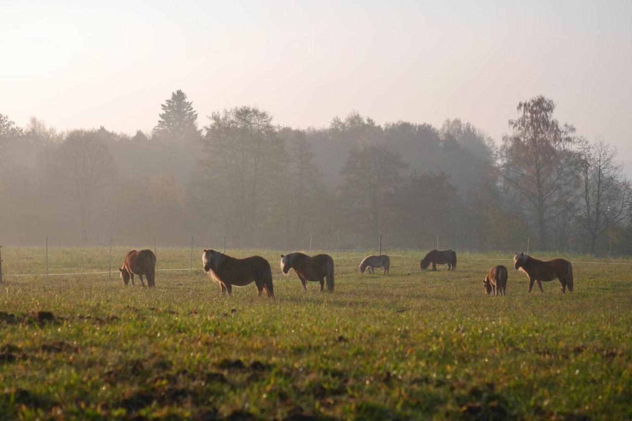 Hörby Hovslagaregarden Bed & Breakfast エクステリア 写真